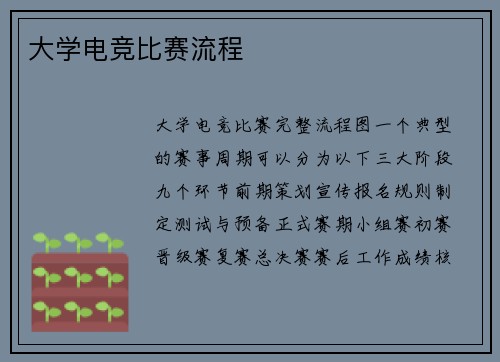 大学电竞比赛流程